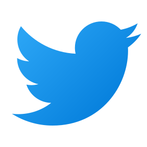 Twitter (X)